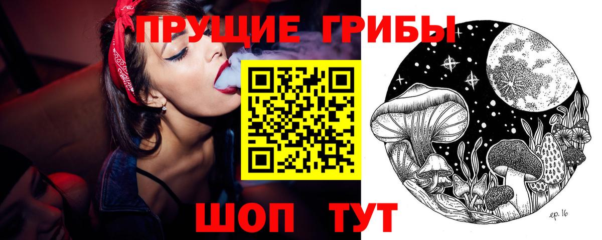 Заволжье  Галлюциногенные грибы прущие грибы  Вход с VPN 